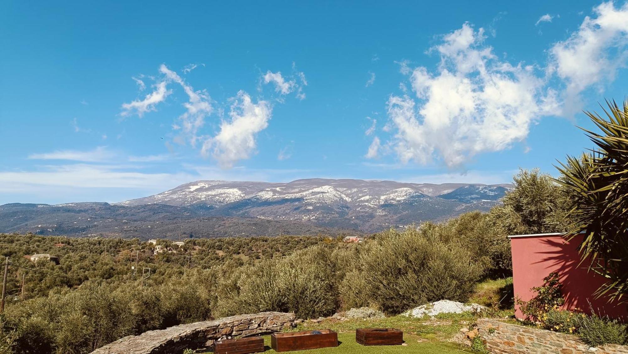 Panoraea & Hébergement de vacances